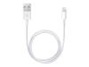 CABLE DE DONNEES APPLE LIGHTNING TO USB APPLE - 50CM