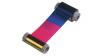 Ruban couleur YMCKO pour Fargo Personna C11 - 250 copies